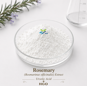Approvisionnement direct d'usine HGO en extrait naturel pur de romarin (Rosmarinus officinalis) acide ursolique 45% (extrait standardisé) - Product Image 1