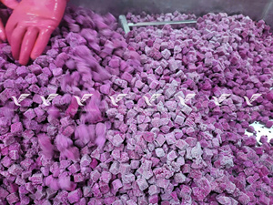 Pulpa de Fruta del Dragón Roja Congelada IQF de Calidad de Exportación, Puré Natural Fresco, Proveedor Mayorista a Granel de Vietnam - Product Image 6
