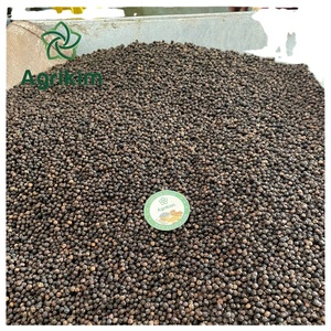Poivre noir standard UE, nettoyé, sans pesticides. Contacter Mme Doris +84 352 542 206 - Product Image 5