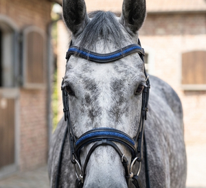 Brida Anatómica Premium de Cuero para Caballo con Brillo Azul, Corona Acolchada Ergonómica y Herrajes Cómodos de Acero Inoxidable - Product Image 3