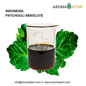 Absolue de Patchouli Indonésien Premium – 100% Naturelle - Product Image 1