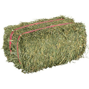 Fourrage pour animaux en foin d'alfafa, granulés de foin d'alfafa - Product Image 2