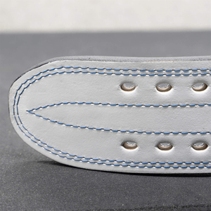 Cinturón de Levantamiento de Pesas Elite de Alta Resistencia con Soporte Lumbar para Entrenamiento en Gimnasio, Precio de Fábrica OEM - Product Image 4