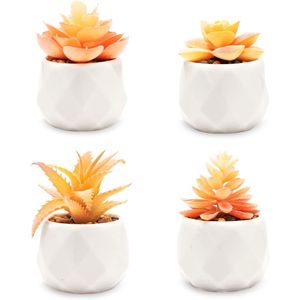 Juego de 4 Macetas de Suculentas Artificiales Naranjas en Cerámica Blanca, Planta Artificial, Regalo para Decoración de Oficina y Hogar, Regalos de Vegetación Artificial - Product Image 1