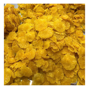 Piña Fresca Procesada en Snack Deshidratado Premium, Ideal para Marcas de Alimentos y Empresas de Importación - Product Image 5