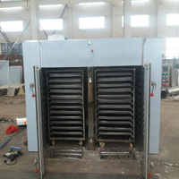Automatische Heteluchtoven Droger Machine Zonne-Voedsel Dehydrator Fruit Ananas Appel Vijgen Droogmachine