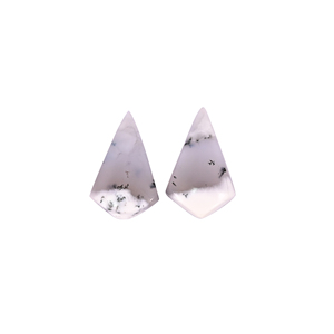 Ópalo Dendrítico Natural de 12.8 Quilates (Peso por Par) 19x12mm Forma de Cometa Gema Suelta - Product Image 1