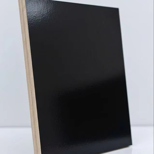 Contrachapado de Primera Calidad con Revestimiento de Película, Madera de Caucho Moderna, Eucalipto, Doble Lijado, Paneles de Alta Calidad, Proveedor Mayorista - Product Image 1