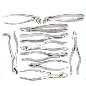 ชุดเครื่องมือผ่าตัดถอนฟันสำหรับม้า 10 ชิ้น ทำจากเหล็กกล้าไร้สนิม ทนทาน - Product Image 2