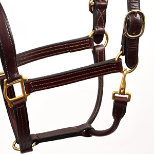 Productos de Equitación de Lujo, Cabestro de Cuero Inglés para Caballo con Herrajes de Latón, Equipo para Deportes Ecuestres y Carreras de Caballos - Product Image 5