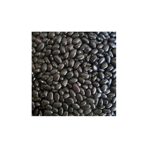 Frijoles negros de primera calidad suministrados para distribución mayorista de alimentos y mercados minoristas - Product Image 3