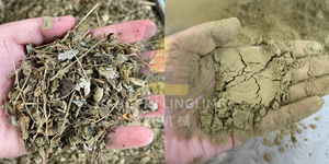 WFJ дробилка для корицы - Product Image 3