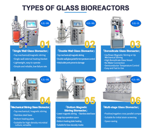Biorreactor de Fermentación de Lactobacillus en Recipiente de Borosilicato, Fermentación Anaeróbica, Precio Profesional, Fermentador Todo en Uno para Hongos - Product Image 2