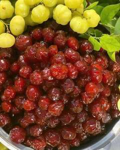Confiture de Groseilles Malaisiennes Premium Séchées et Conservées dans du Sirop, Disponible en Vrac et en Emballage Cadeau à un Prix Abordable - Product Image 1
