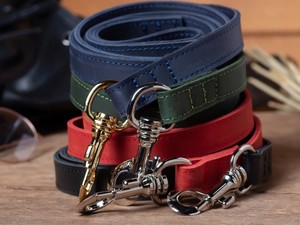 Comfort Grip <b>Dog</b> <b>Leash</b> for Happy Walks - Product Image 1