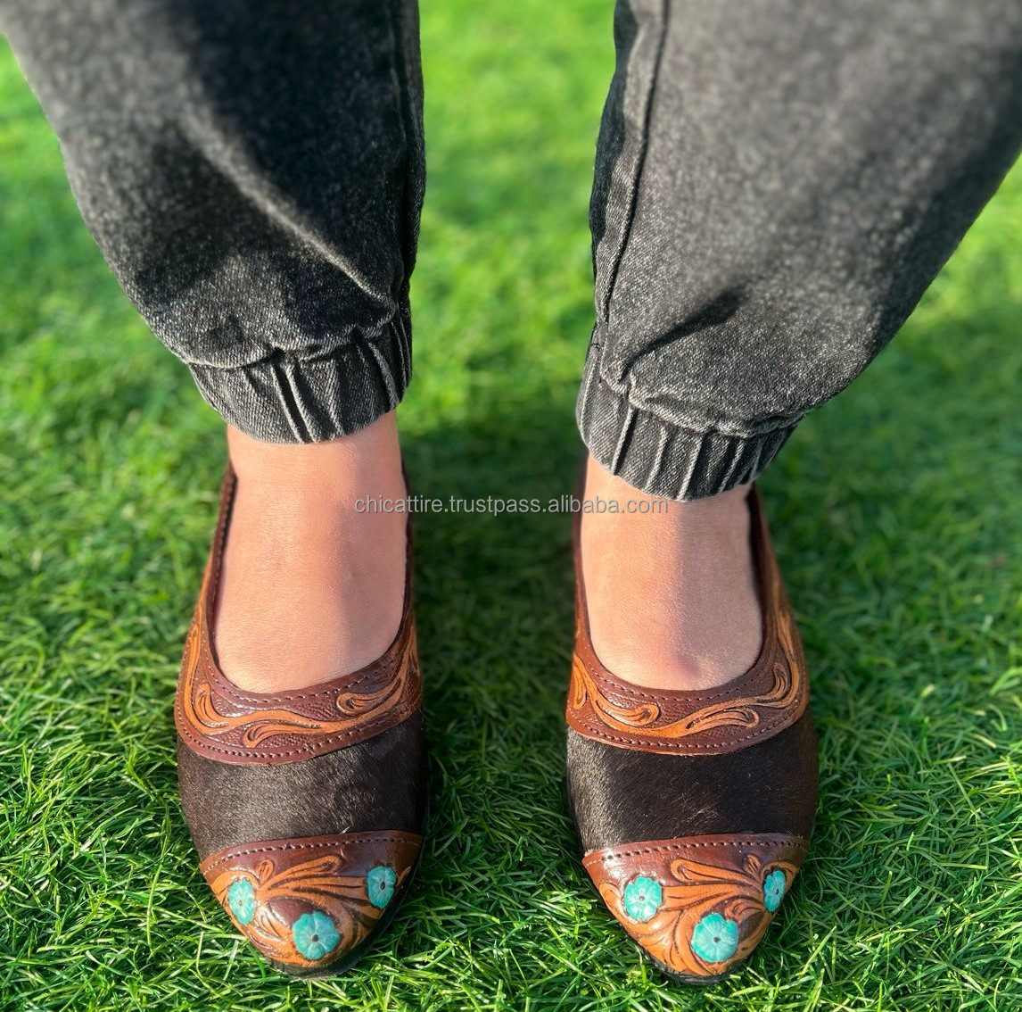 Brown avec l'outillage de couleur