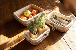 Vintage Set <b>3</b> Water Hyacinth Woven Eco-Friendly <b>Storage</b> Baskets Removable Linen Fabric Liner Natural Rustic American Living Room - Product Image 3