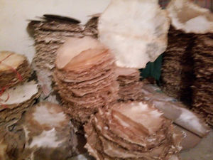 Venta Directa de Fábrica de Piel de Tambor, Varios Tamaños de Tambor de Cintura y Otras Pieles de Tambor, Piel de Vaca Natural - Product Image 5