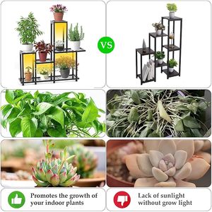 Modern Metal Plant Rack With Square Design For Indoor Flower And Green Plant Display Minimalist <b>Style</b> <b>Powder</b> Coated Finish - Product Image 6