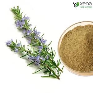 Proveedor de Productos Naturales, Extracto Soluble de Aceite de Romero para Productos de Cuidado Personal al por Mayor - Product Image 3