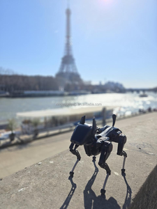 Özel Yeni Gelen Sirius Biyonik On Dört Derece NeuroCore Yapay Zeka Çipli Jump Dance Topu El Sıkışma Uygulaması Uzaktan Kumandalı Robot Köpek - Product Image 4