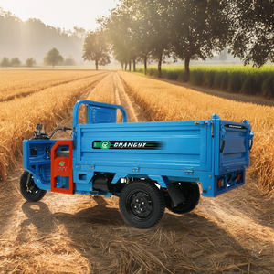 <span class=keywords><strong>Vélo</strong></span> cargo électrique adulte <span class=keywords><strong>à</strong></span> trois <span class=keywords><strong>roues</strong></span> <span class=keywords><strong>à</strong></span> toit ouvert de 1000 W 60 V, adapté au transport urbain - Product Image 1