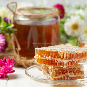 Flacon en verre de 30g de miel Multiflora à saveur florale épaisse et dorée Extrait à froid Saveur riche Goût Forêt Pure Healthy Sweet - Product Image 4