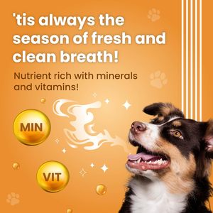 Friandises à mâcher pour chiens et chats OEM ODM, bâtonnets molaires nutritifs, formule double action à base d'algues marines et de chlorophylle, soins bucco-dentaires sains, friandises à mâcher moelleuses - Product Image 4