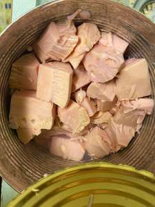 FÁBRICA DIRECTA VIETNAMESA CONSERVAS JOVEN JACKFRUIT PRECIO COMPETITIVO - Product Image 2