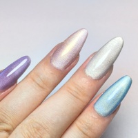 Fournisseur d'ongles OEM Vernis à ongles personnalisé UV Gel Ket Private Label Cat Eye Gel Vernis à ongles 3D