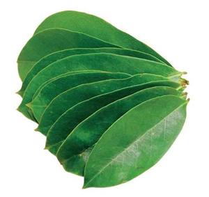 Soursop Leaves <b>Powder</b> - Pure, Natural <b>Superfood</b> for Wellness, Detox, and Immune Support - Ms. Beatrix - Product Image 5