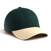 Gorra de Béisbol Ajustable para Adultos, con Logotipo Personalizado, Deportiva, Transpirable, Impermeable, 100% Algodón, Precio Económico 2026