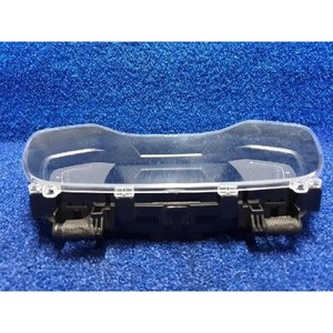 Paneles de Instrumentos Usados Arkana 248095140R - Product Image 4