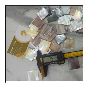 Natural Vietnamese Shell <b>Mosaic</b> Material for Interior Decoration Furniture Inlay and Luxury Design Solutions - Product Image 4
