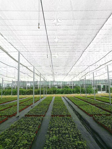 Filet d'ombrage Mono+Mono 50% 125gsm en PE pour l'agriculture, les serres et les nichoirs, avec stabilisation UV - Product Image 3