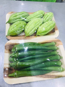 Platos Desechables de Hoja de Palma Areca de Pangreen Global Corporation, 100% Compostables y Biodegradables, Ecológicos, Vietnam - Product Image 5