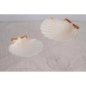 Fabulosa copa de vino con forma de concha marina, ideal para bodas, fiestas, aniversarios y otras celebraciones especiales. - Product Image 4