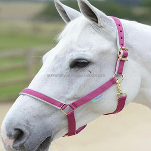 Sangle équestre PP de haute qualité licou rembourrage en polaire douce selle occidentale collier de tête réglable fournisseur de qualité - Product Image 2