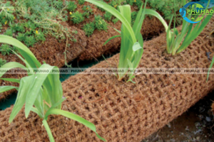 Troncos de fibra de coco a precio competitivo que favorecen el crecimiento de la vegetación, ayudan a la formación de raíces, protegen los bordes de ríos y lagos, proveedor de troncos de coco de primera calidad - Product Image 3