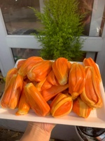 Indonesische Rode Jackfruit Van Vietnam/Iqf Frozen Proces Hoge Kwaliteit 100% Bevroren Fruit