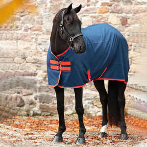 Couverture de cheval en coton respirant et imperméable, tissu léger et durable, sangles réglables pour un confort par tous les temps, séchage rapide - Product Image 4