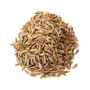 Graines de cumin entières indiennes sélectionnées de la récolte de la nouvelle saison pour les importateurs mondiaux d'épices et les partenaires commerciaux en gros - Product Image 2