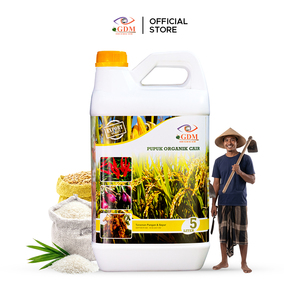 Engrais liquide 100% naturel et biologique Bio Pupuk pour le développement des racines des riz, du piment, de l'aubergine et des chou frisé, qualité export, 5 L - Product Image 2