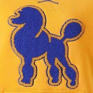 Sigma Gamma Rho Chenille Poodle Sweatshirt Women Yellow Blue <b>Raglan</b> Crewneck Pocket Pullover Sorority Casual <b>Top</b> - Product Image 6