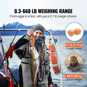 Bilancia Digitale Industriale per Gru, 300 kg/660 libbre, con Cassa in Alluminio Pressofuso e Schermo LCD, Mini Portatile - Product Image 2