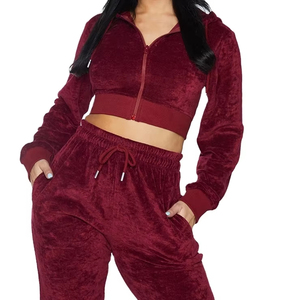 High Quality Custom Two-Piece Velvet <b>Ladies</b> Embroidered Eco-Friendly Hooded Tracksuit Set Breathable Streetwear Solid Color - Product Image 1
