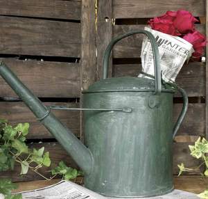 Regadera profesional de metal para entusiastas del jardinería, con boquilla larga, resistente al óxido, mango fuerte, herramienta eficiente para regar plantas - Product Image 6