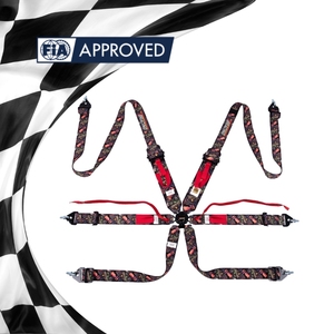 Harnais de course professionnel certifié FIA SPORT PLUS 5/6 points, ceinture de sécurité à tirage, OEM ODM, logo et couleur personnalisés, vente en gros - Product Image 1