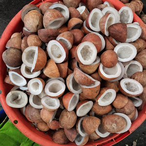 COPRA DE COCO DE CALIDAD DE EXPORTACIÓN DE VIETNAM - PRECIO COMPETITIVO/ SRA. ALINA - Product Image 4