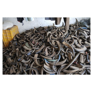 High Quality Organic Carved Animal Water Buffalo Horn Dog Chews in Antique Style in Small Medium <b>Large</b> Sizes - Product Image 3
